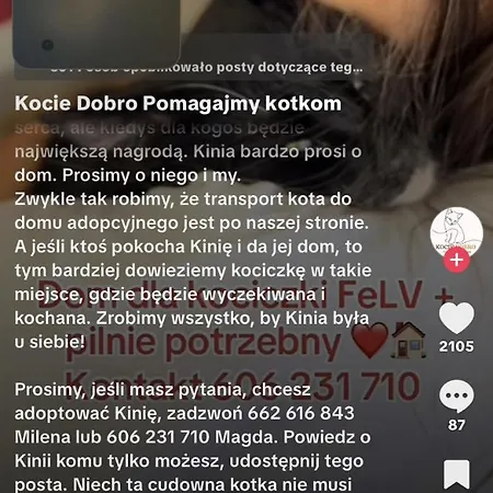 Chromiczówka *
